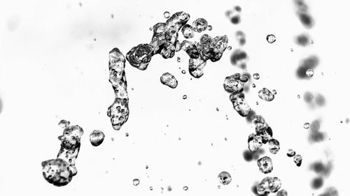 Close-up of water drops on white background