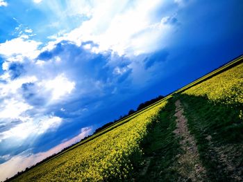 Panoramic view of landscape against blue sky