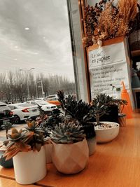 Close-up of potted plants on table