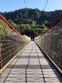 Rear view of footbridge amidst trees