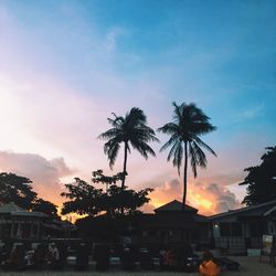 Silhouette palm trees against sky during sunset