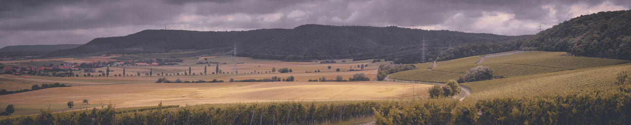 Panoramic view of agricultural field against sky