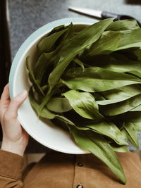 Close-up of hand holding salad in plate on table