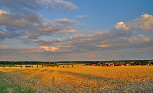 Scenic view of agricultural field against sky