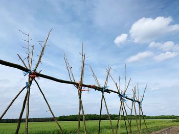 Low angle view of tree on field against sky