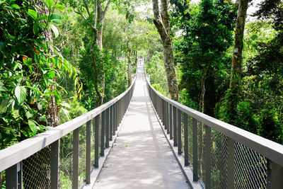 Footbridge amidst trees in forest