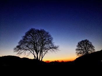 Silhouette of trees at sunset