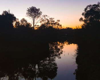 Silhouette trees by lake against sky during sunset