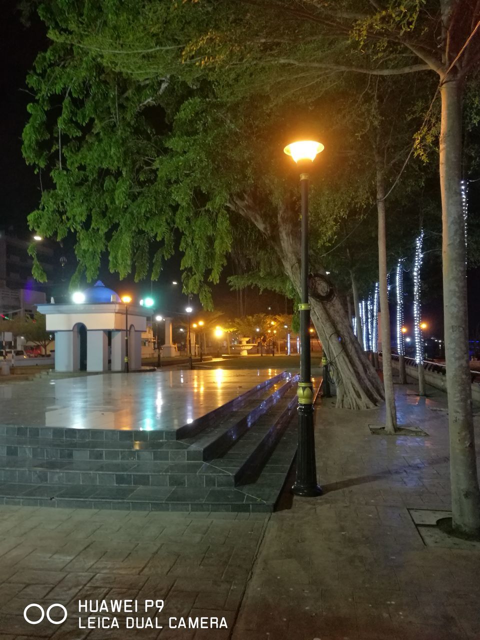 illuminated, night, street light, tree, lighting equipment, transportation, text, the way forward, sky, outdoors, street, road, railing, western script, light - natural phenomenon, communication, built structure, road sign, no people, city