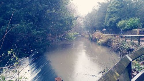 View of canal along trees