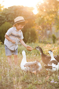 Cute boy feeding ducks on sunny day