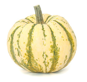 Close-up of pumpkin against white background