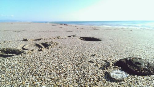 Surface level of beach