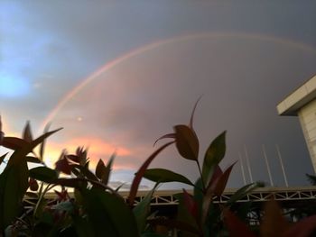 Close-up of rainbow against sky