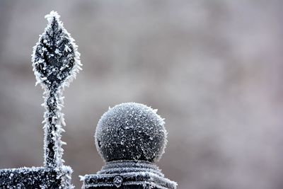 Close-up of ice