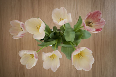 Close-up of white flowering plant on table