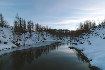 Scenic view of snow covered trees against sky