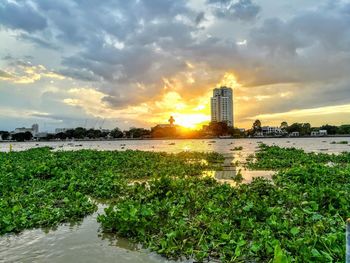 Scenic view of river by buildings against sky during sunset