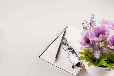 Purple flowering plant on table