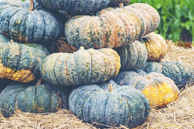 Close-up of pumpkins