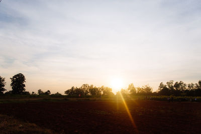 Sunlight streaming through trees on field against sky at sunset