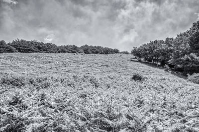 Scenic view of land against sky