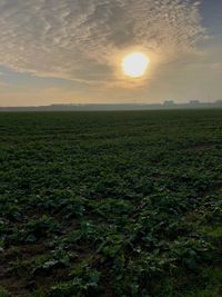 Scenic view of field against sky during sunset