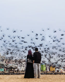 Rear view of man and birds flying against sky