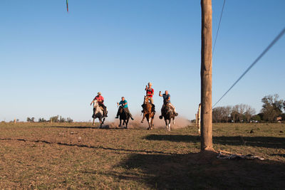 Horse race in south america