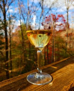 Close-up of wine glass on table against trees