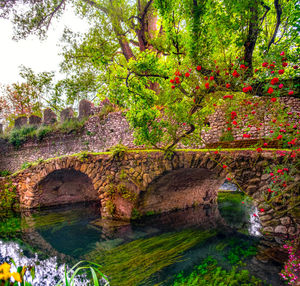 Arch bridge against trees and plants