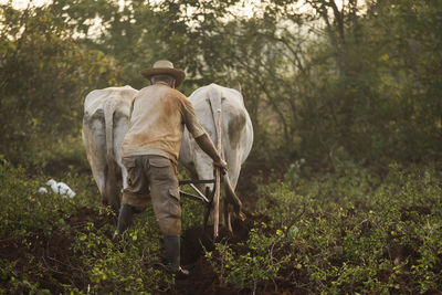 Rear view of man working in forest