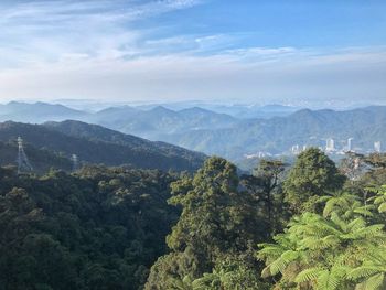 High angle view of trees on landscape against sky