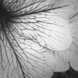 Detail shot of a surface