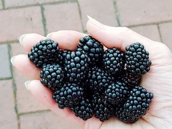 Close-up of hand holding fruit