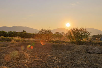 Scenic view of landscape against sky during sunset