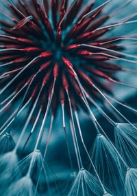 Low angle view of palm tree