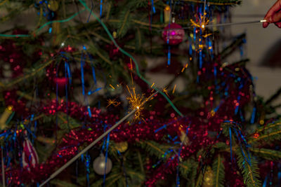 Close-up of christmas tree