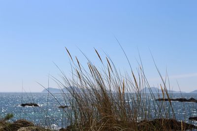 Scenic view of sea against clear sky