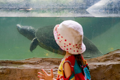 River terrapin or labi - labi in malay. swimming in an aquarium. a child with hat and dress.