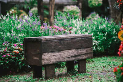 View of bench in park