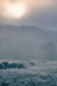 Scenic view of landscape against sky during foggy weather