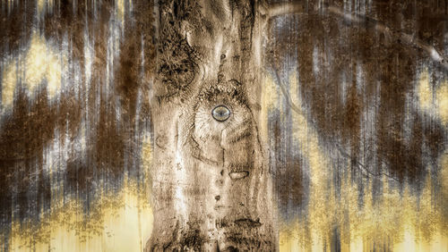 Full frame shot of weathered wall