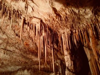 Close-up of cave