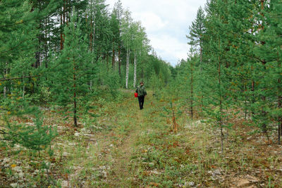 Man amidst trees in forest