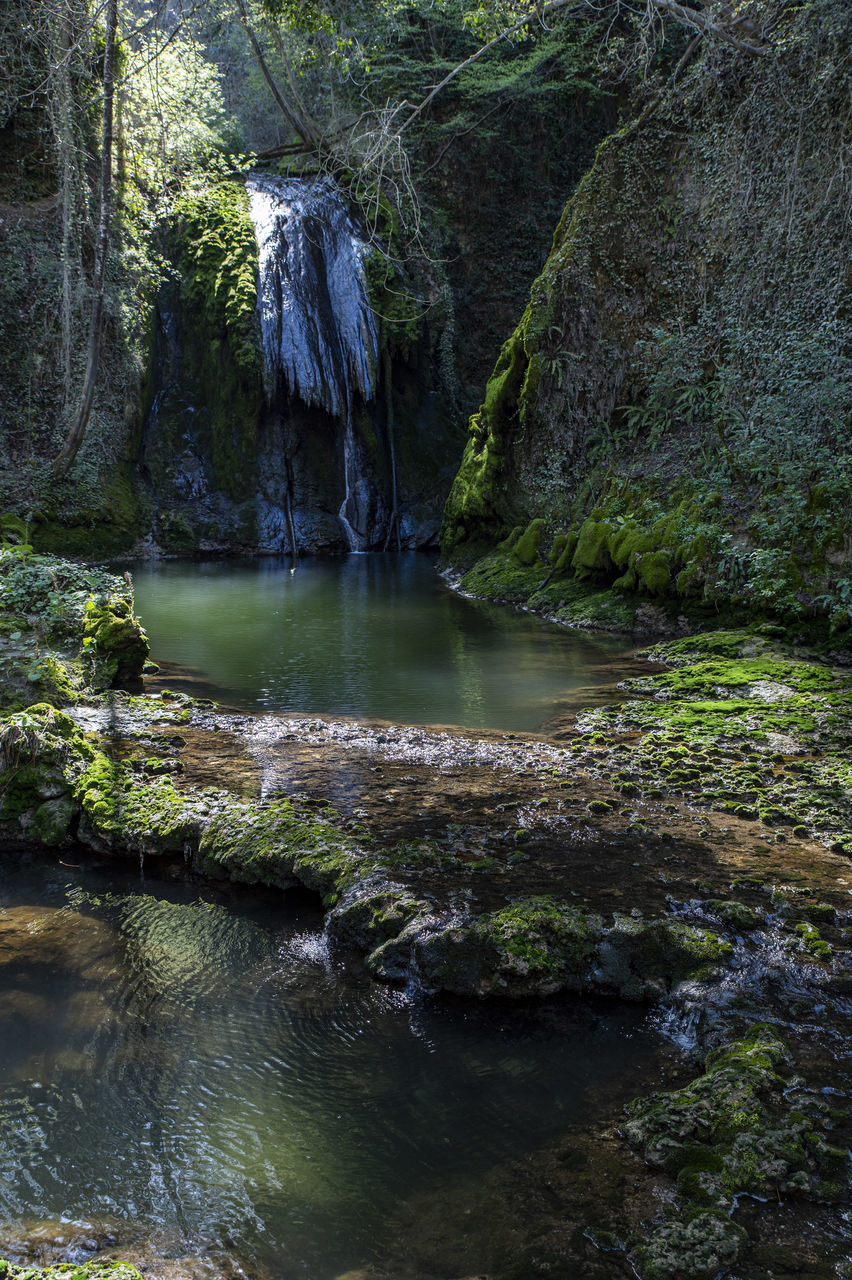 water, tree, plant, beauty in nature, nature, wilderness, forest, body of water, scenics - nature, river, stream, land, water feature, rock, tranquility, creek, no people, environment, waterfall, non-urban scene, tranquil scene, watercourse, woodland, day, growth, outdoors, flowing water, reflection, landscape, green, idyllic, travel destinations, rainforest, autumn, natural environment, moss