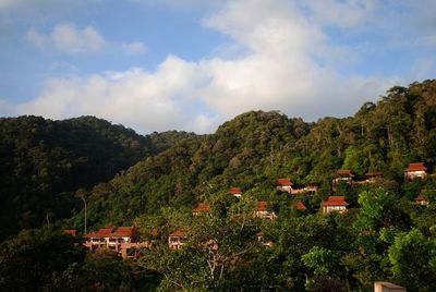 High angle view of townscape and trees against sky