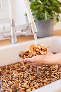 Forest mushrooms are washed in the sink