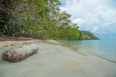 Scenic view of beach against sky