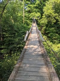 Wooden footbridge amidst trees in forest